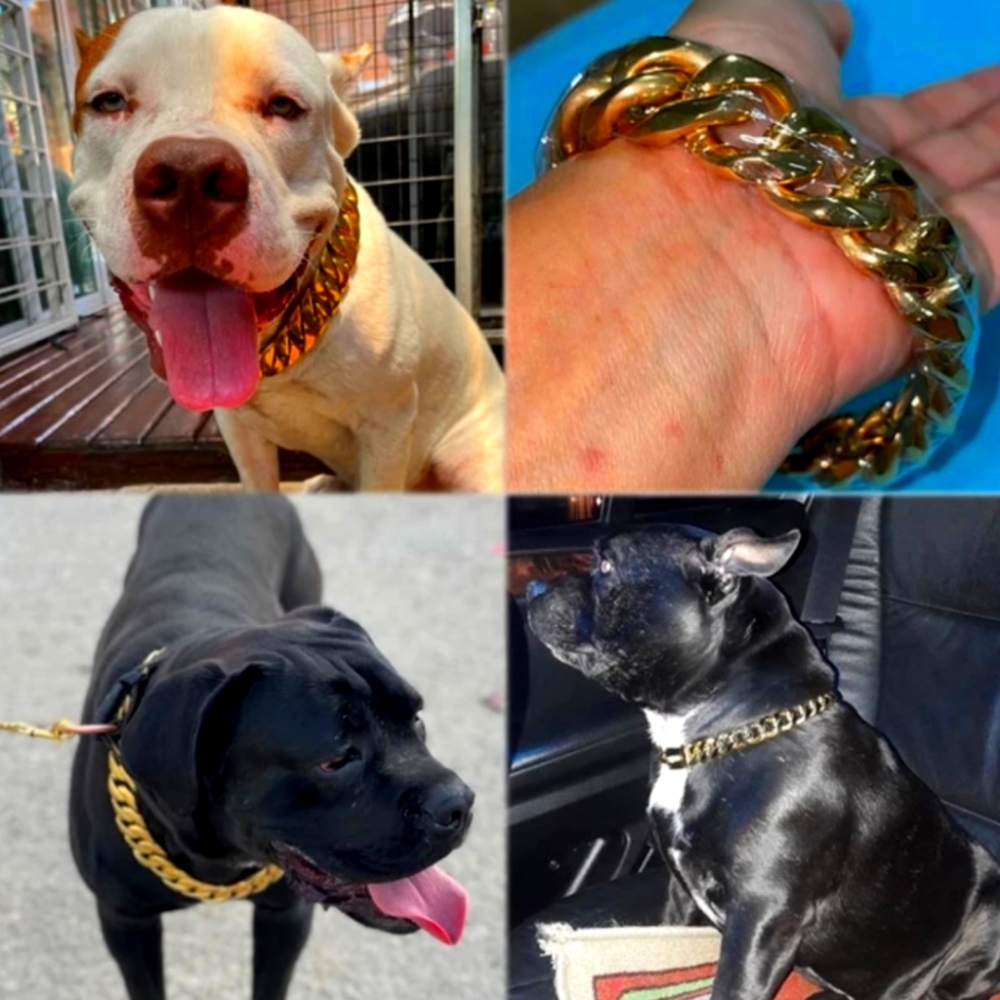 Strong Metal Dog Chain Gold